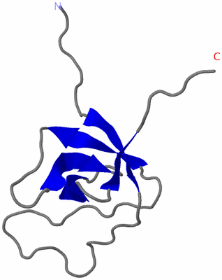 Image NMR Structure - model 1