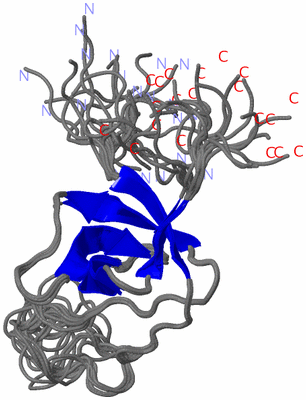 Image NMR Structure - all models