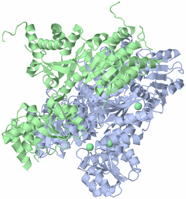 Image Biological Unit 2