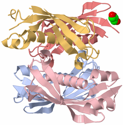 Image Biological Unit 1