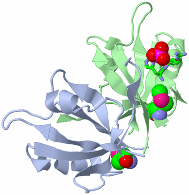 Image Biol. Unit 1 - sites