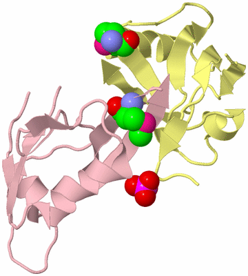 Image Biological Unit 2