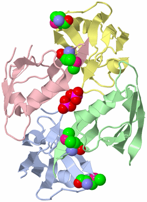 Image Biological Unit 3