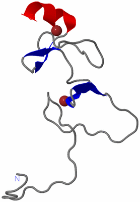 Image NMR Structure - model 1