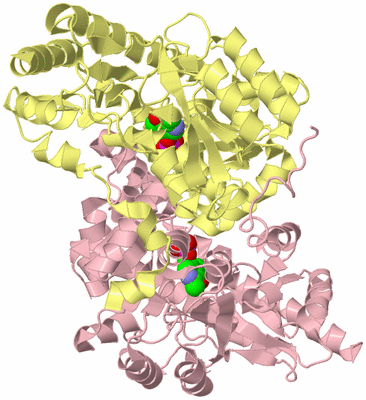 Image Biological Unit 2