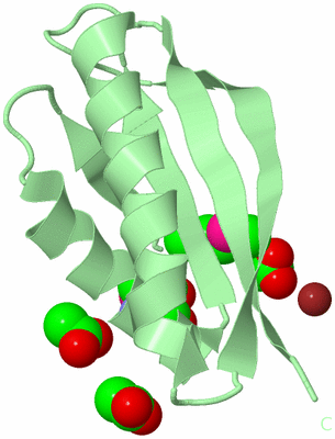 Image Biological Unit 2