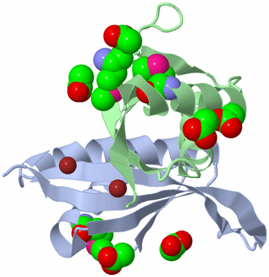 Image Biological Unit 3