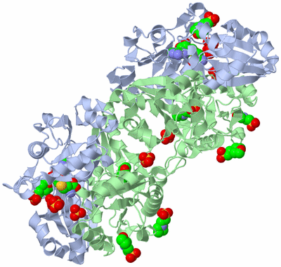 Image Biological Unit 2