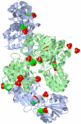 Image Biological Unit 3