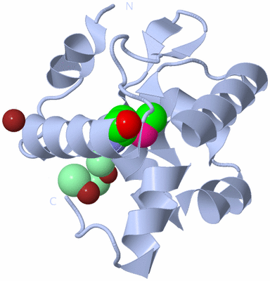 Image Biological Unit 1