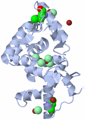 Image Biological Unit 2