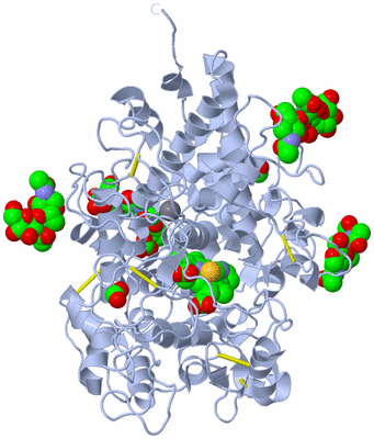 Image Biological Unit 1