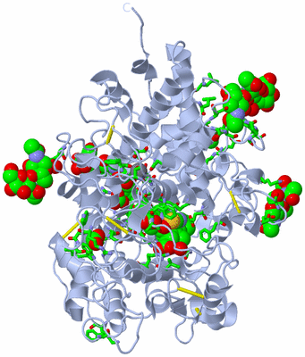 Image Biol. Unit 1 - sites