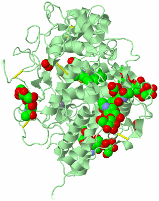 Image Biological Unit 2