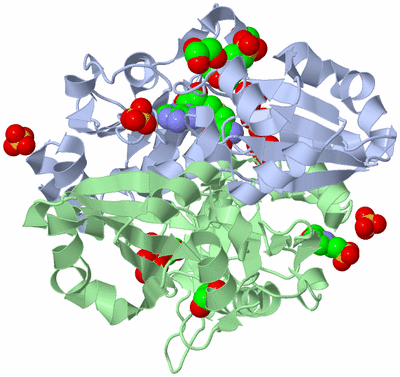 Image Biological Unit 1