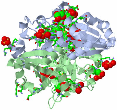 Image Biol. Unit 1 - sites