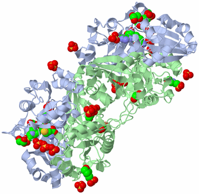 Image Biological Unit 2