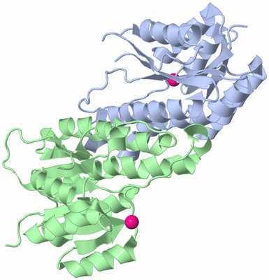 Image Biological Unit 1