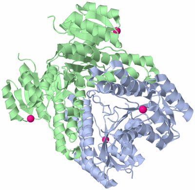 Image Biological Unit 2