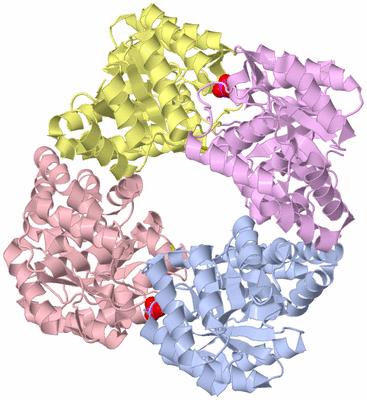 Image Asym./Biol. Unit