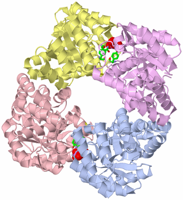 Image Asym./Biol. Unit - sites