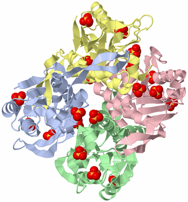 Image Biological Unit 1