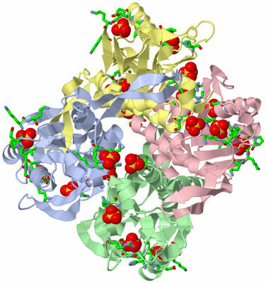 Image Biol. Unit 1 - sites