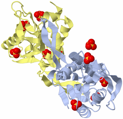 Image Biological Unit 2