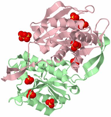 Image Biological Unit 3