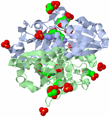 Image Biological Unit 1