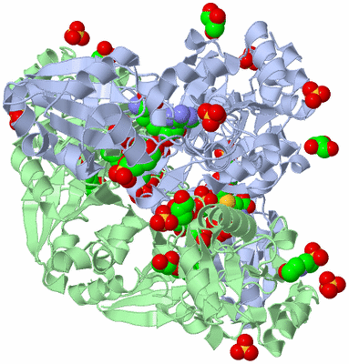 Image Biological Unit 2