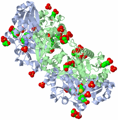 Image Biological Unit 3