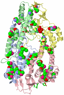 Image Biol. Unit 1 - sites