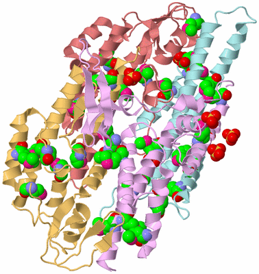 Image Biological Unit 2