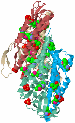 Image Biological Unit 3