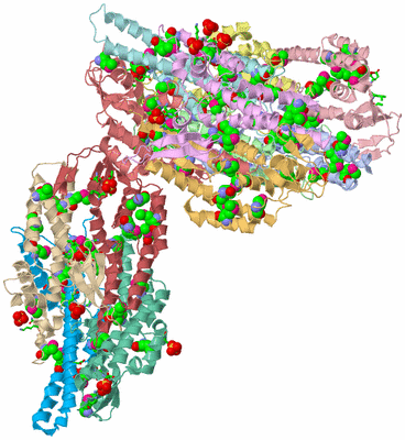 Image Asym. Unit - sites