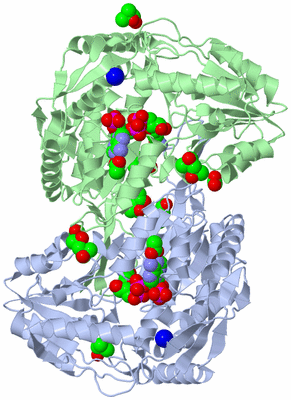 Image Biological Unit 1