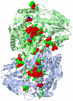 Image Biol. Unit 1 - sites