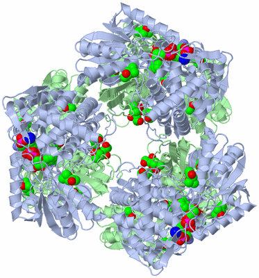 Image Biological Unit 2