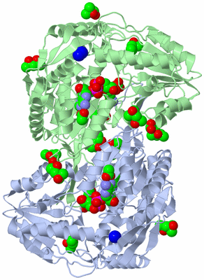 Image Biological Unit 1