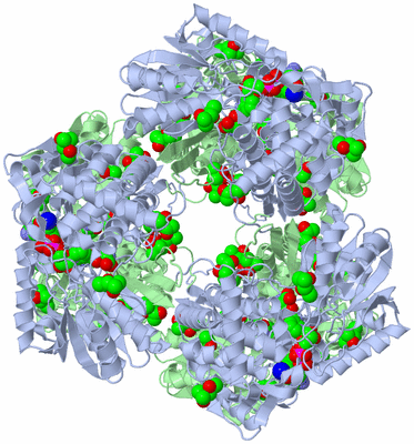 Image Biological Unit 2