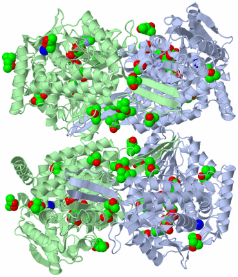 Image Biological Unit 3