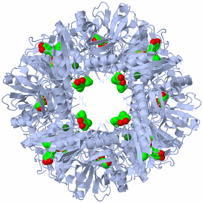 Image Biological Unit 1