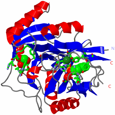 Image Asym. Unit - sites