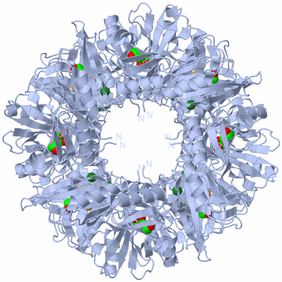 Image Biological Unit 1