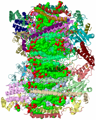 Image Asym./Biol. Unit - sites