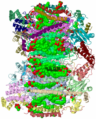 Image Asym./Biol. Unit