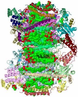 Image Asym./Biol. Unit - sites