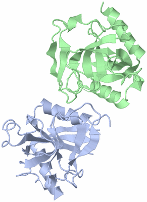 Image Asymmetric Unit