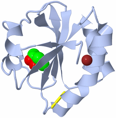 Image Biological Unit 1